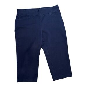 Navy Capris Pants